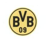 Trademark BVB 09