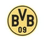 Trademark BVB 09