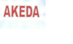 Trademark AKEDA