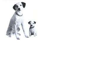 Trademark DOGS (SMALL DOG RIGHT) DEVICE