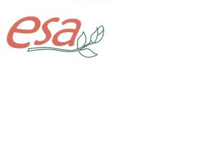 Trademark esa + Lukisan bunga