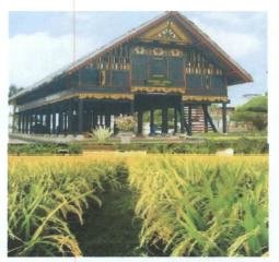 Trademark RUMOH ACEH