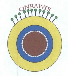 Trademark ONRAWIB