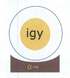 Trademark igy α-na