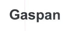 Trademark GASPAN