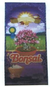 Trademark BONSAI & LUKISAN