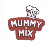 Trademark MUMMY MIX