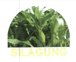 Trademark SILAGUNG + LOGO