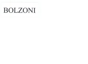 Trademark BOLZONI