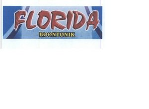 Trademark FLORIDA BOONTONIK