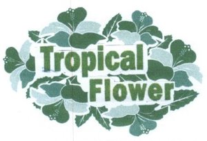 Trademark TROPICAL FLOWER