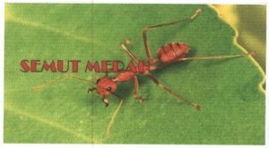 Trademark SEMUT MERAH