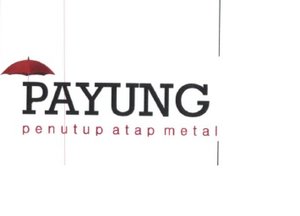 Trademark PAYUNG