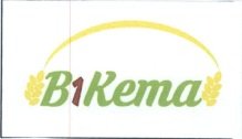 Trademark B1kema