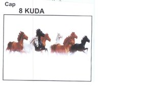 Trademark cap 8 kuda