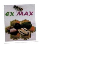 Trademark EX MAX