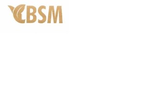 Trademark BSM