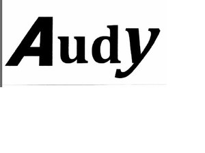 Trademark audy