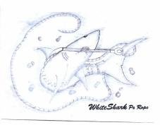Trademark WhiteShark