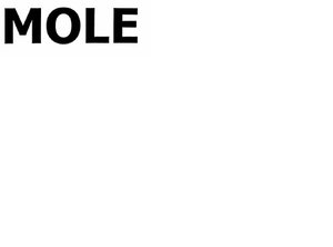 Trademark MOLE