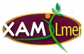 Trademark XAM XLMER + Lukisan daun