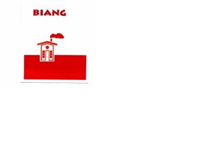 Trademark BIANG