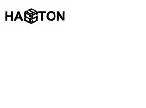 Trademark HASSTON + logo