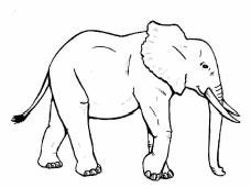 Trademark Gambar GAJAH