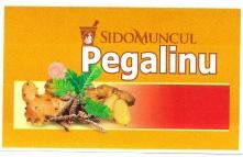 Trademark SIDOMUNCUL PEGALINU