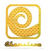 Trademark Chameleon + logo