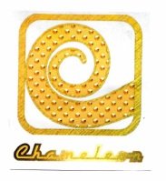 Trademark Chameleon + logo