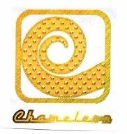 Trademark Chameleon + logo