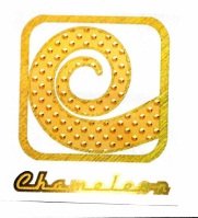 Trademark Chameleon + logo