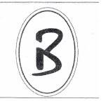 Trademark Logo B