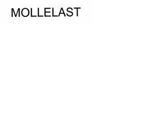 Trademark MOLLELAST