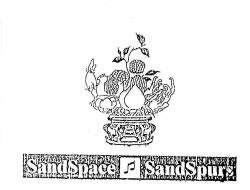 Trademark SANDSPACE SANDSPURS