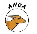 Trademark ANOA