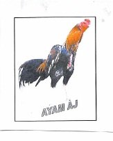 Trademark AYAM AJ + LUKISAN AYAM JAGO