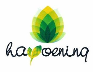 Trademark HAYOENING & LOGO