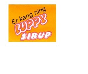 Trademark ER KANG NING LUPPY SIRUP