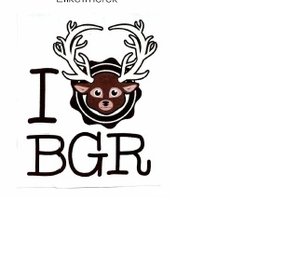 Trademark I BGR + LOGO