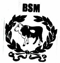 Trademark BSM