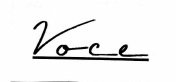 Trademark VOCE