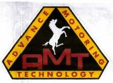 Trademark AMT