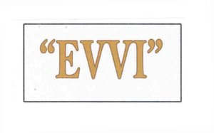 Trademark EVVI