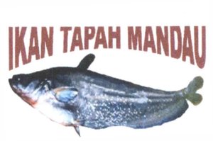 Trademark IKAN TAPAH MANDAU