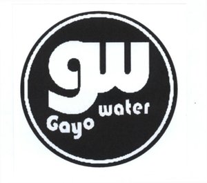 Trademark GAYO WATER + Logo