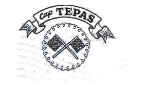 Trademark TEPAS