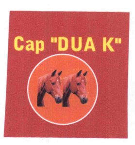 Trademark CAP "DUA K"