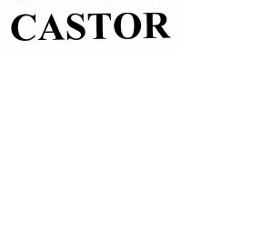 Trademark CASTOR